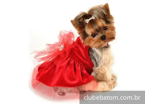 Roupas para cachorros pequenos (molde – passo a passo e fotos)